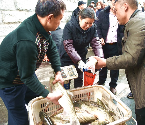 _dsc6212.jpg _dsc6212.jpg